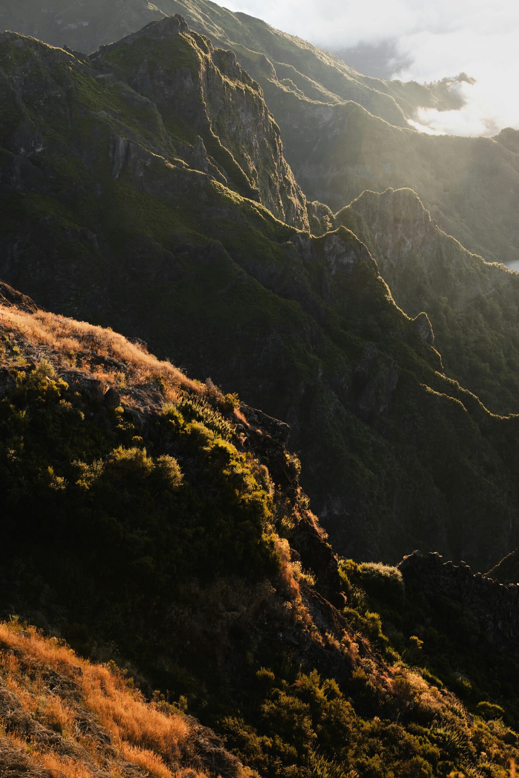 Warm light illuminating the rugged peaks of Madeira, Portugal, with lush greenery.