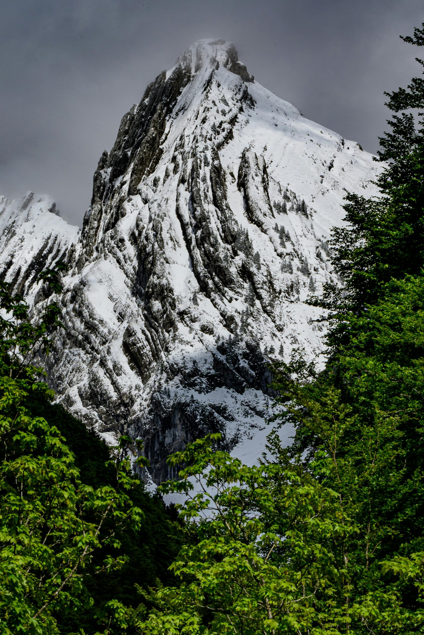 Majestic alpine peak with snow and lush green foreground, framed by trees, under dramatic sky.